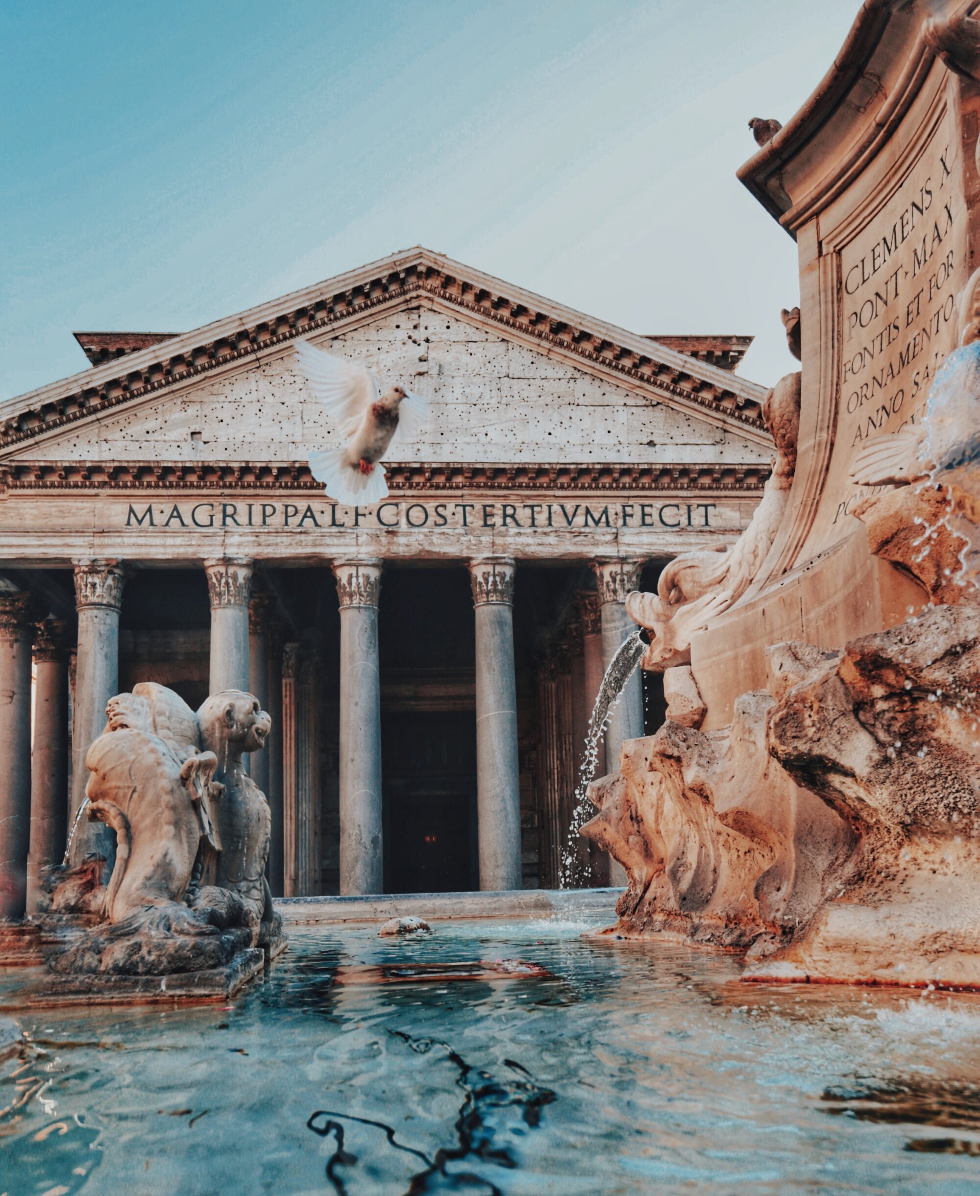 gloria-cretu-iek_zWEB0Fw-unsplash-2000×3000